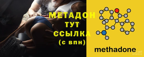 прущие грибы Балабаново
