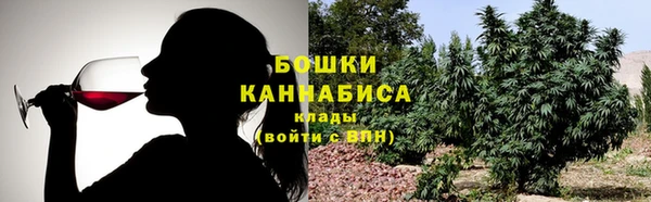 прущие грибы Балабаново