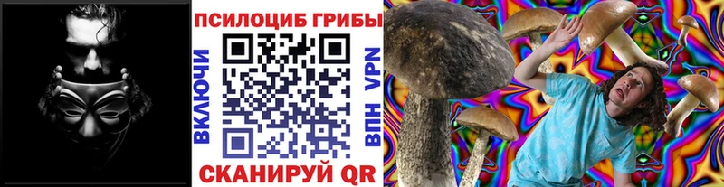 Галлюциногенные грибы Cubensis  Луховицы 